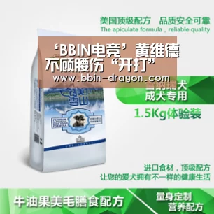 BBIN篮球
