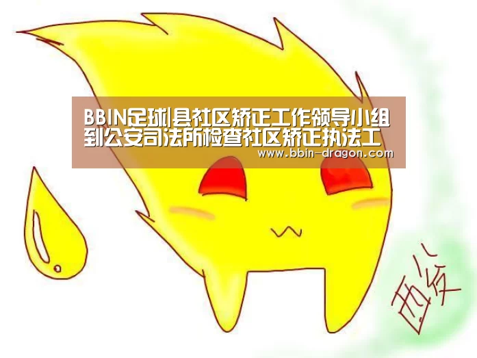 BBIN足球|县社区矫正工作领导小组到公安司法所检查社区矫正执法工作(图4) BBIN电竞