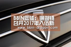 BBIN足球