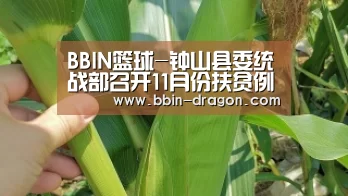 BBIN篮球-钟山县委统战部召开11月份扶贫例会(图1) BBIN篮球