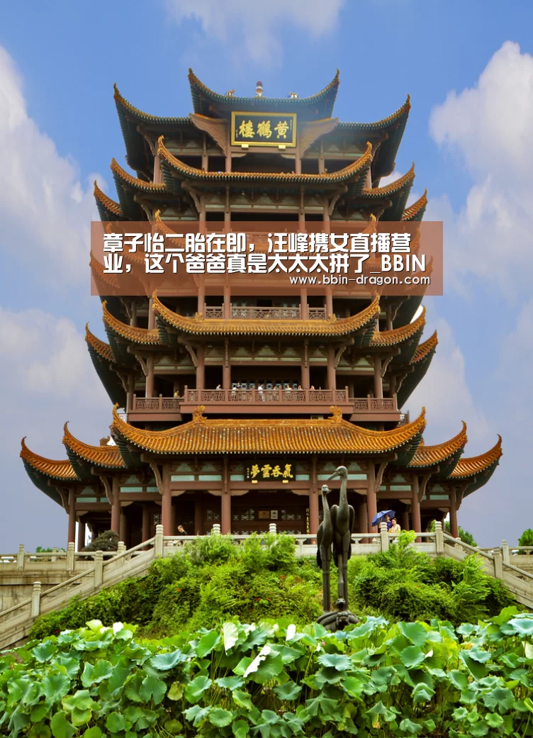 章子怡二胎在即,汪峰携女直播营业,这个爸爸真是太太太拼了_BBIN篮球(图3) BBIN足球
