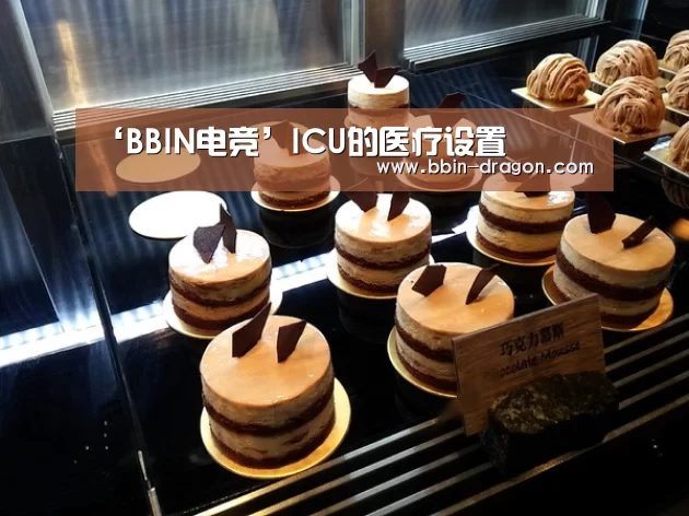 ‘BBIN电竞’ICU的医疗设置(图3) BBIN篮球